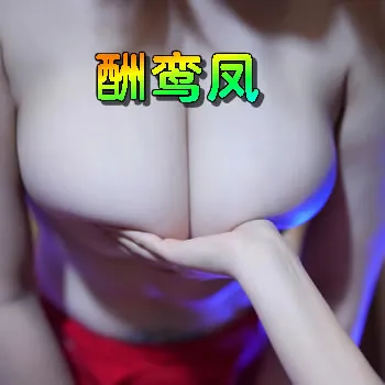 酬鸾凤