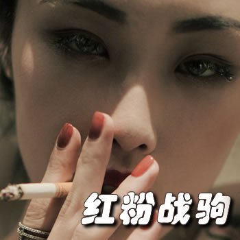 红粉战驹